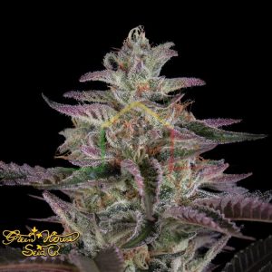 Banana Krumble - Green House Seeds