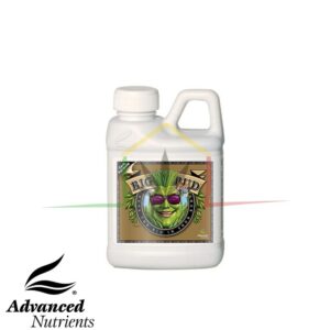 Big Bud Coco de Advanced Nutrients 250ml