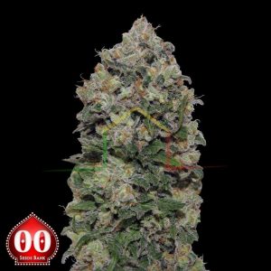 Northern Lights de 00 Seeds