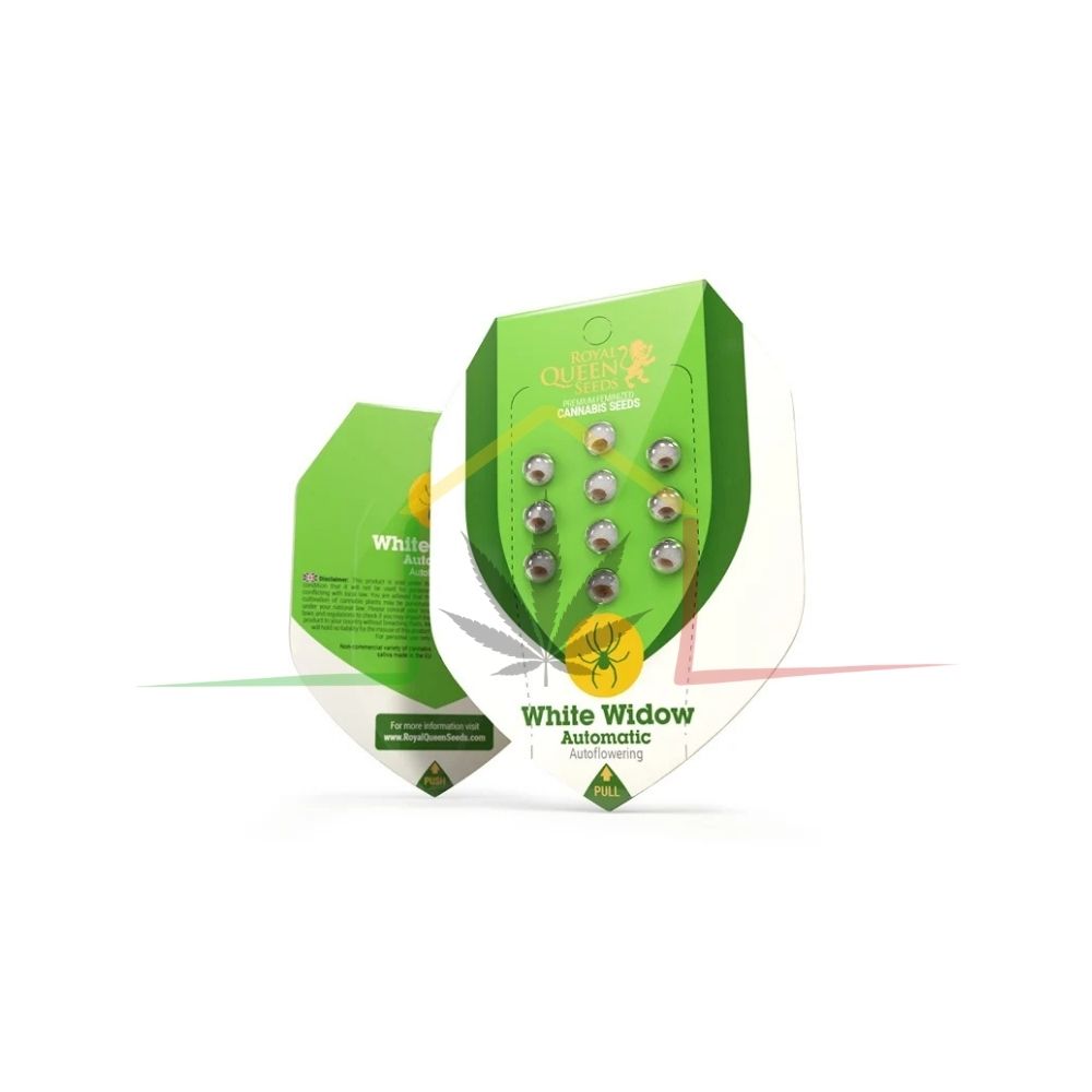 White Widow Automatic - Royal Queen Seeds