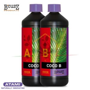 B'Cuzz Coco A&B - Atami