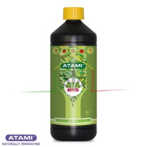 ATA NRG Alga-C - Atami