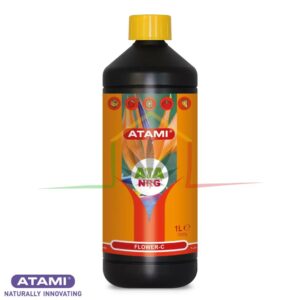 ATA NRG Flower-C - Atami