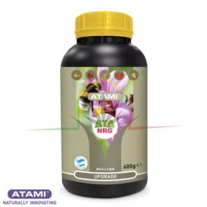 ATA NRG Upgrade - Atami