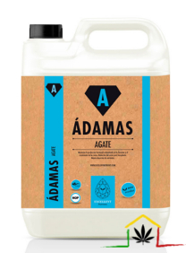 AGATE - ADAMAS