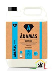 QUANTUM - ADAMAS